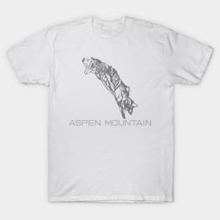 Aspen Mountain Resort 3D T-Shirt